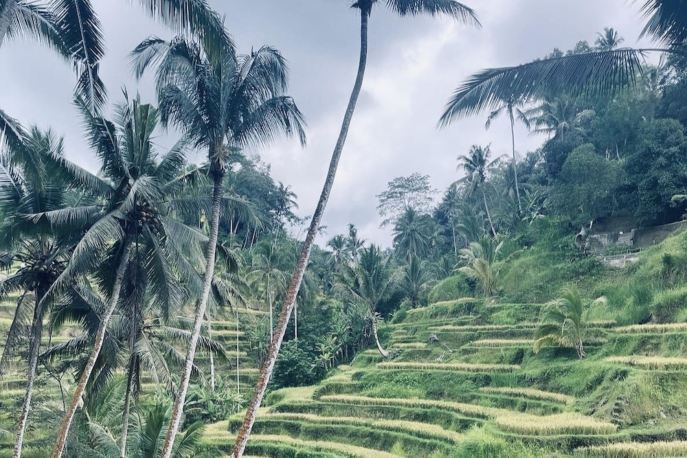 Gdzie Spa Na Bali Najlepsze Miejsca I Noclegi